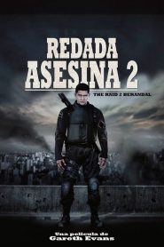 Redada asesina 2 (2014)