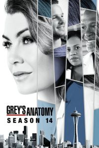 Anatomía según Grey Temporada 14