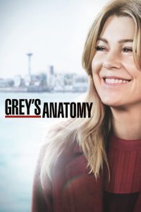 Anatomía según Grey Temporada 15