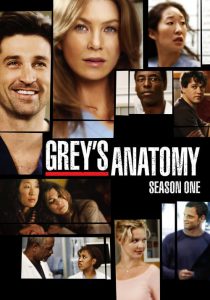 Anatomía según Grey Temporada 1