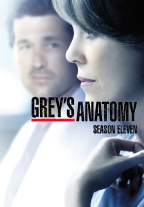 Anatomía según Grey Temporada 11