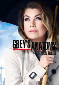 Anatomía según Grey Temporada 12