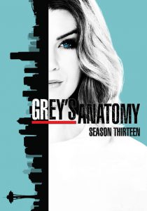 Anatomía según Grey Temporada 13