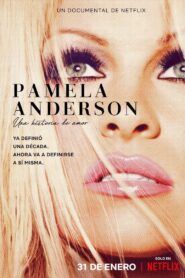 Pamela Una historia de amor